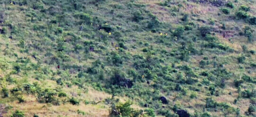 Abasibe 50 batolose e Moroto, badduse n’ emmundu 36