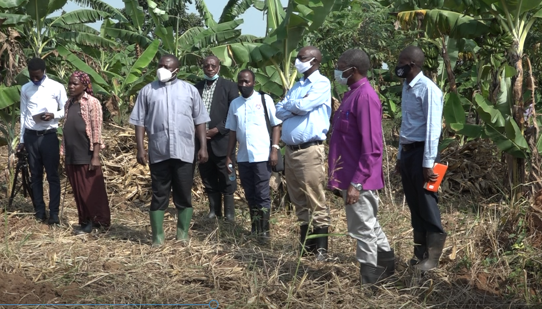 Obwakabaka busse omukago n’Obulabirizi bw’e Namirembe ku Mmwanyi Terimba