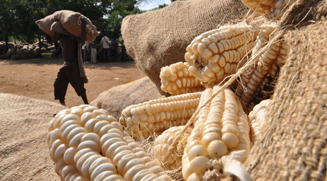 Kenya ezzeemu okukkiriza kasooli wa Uganda