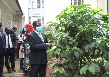 Katikkiro Mayiga atongozza omwaka gw’Emmwanyi Terimba 2021