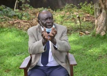 Federo yeesobola okumalawo ebizibu by’ettaka- Owek. Muliika