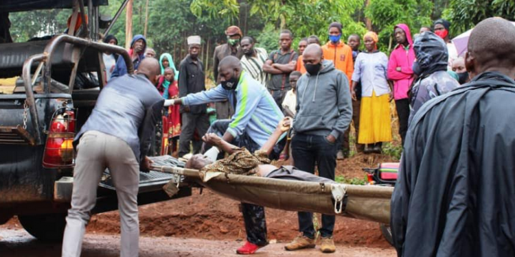 Nnamukadde ow’emyaka 87 atemuddwa mu ntiisa