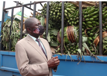 Abavubuka basabiddwa okulwanirira ettaka lya mayiro