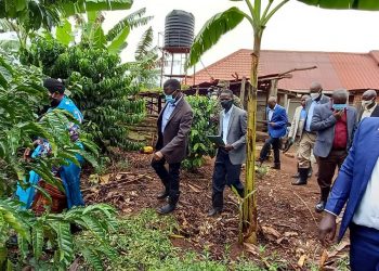 Abayivu ku mirimu emisome mugatteko okulima – Katikkiro Mayiga