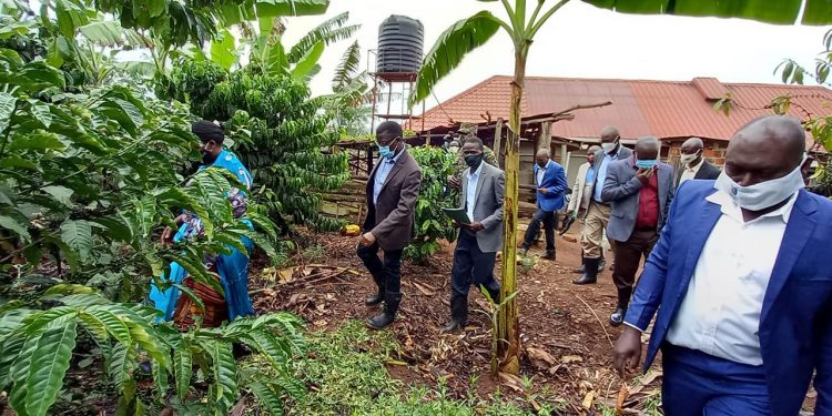 Abayivu ku mirimu emisome mugatteko okulima – Katikkiro Mayiga