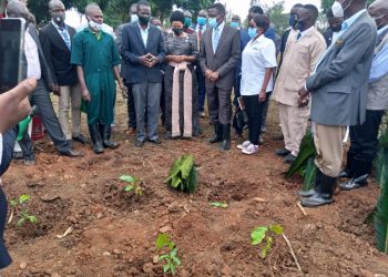 Katikkiro Mayiga atongozza okusimba emmeresezo ku mbuga z’amasaza