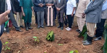 Katikkiro Mayiga atongozza okusimba emmeresezo ku mbuga z’amasaza