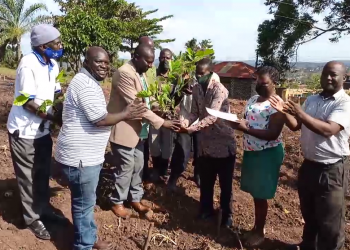 Ab’e Kyaggwe bafunye endokwa okutandika emmeresezo