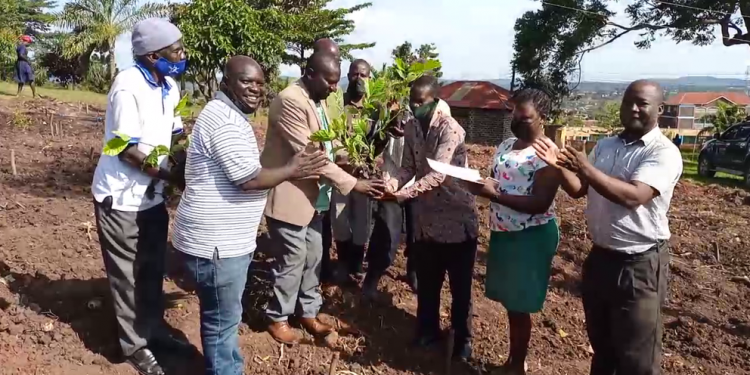 Ab’e Kyaggwe bafunye endokwa okutandika emmeresezo