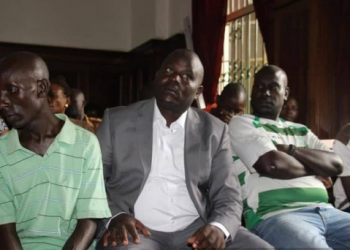 Ssebuufu owa Pine, kkooti emudiddemu okuva ku myaka 40 gye yali yasibwa