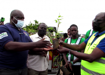 Basimbye emiti mu Lubigi okukuuma Obutonde