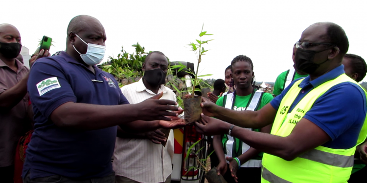 Basimbye emiti mu Lubigi okukuuma Obutonde