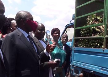 Bannakyaggwe baleese Amakula