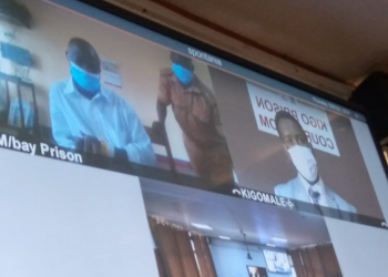 Ebya Ssegirinya bijjulidde, Munnamateeka we bamulumbye ne Yintaneeti n’evaako