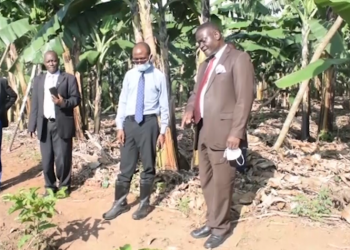 Owek. Kawuki asabye abaami obutatiiririra Kabaka