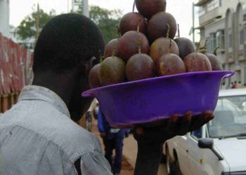 Gavumenti eweze abatembeeyi mu byalo