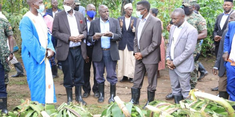 Katikkiro Mayiga asabye abalima emmwanyi okwettanira ebibiina by’Obweggasi