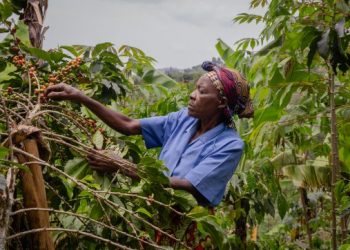 Museveni n’ Ababaka ba NRM bakkaanyizza okuddamu okwetegereza endagaano y’Emmwaanyi