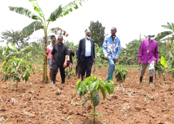 Omulabirizi Luwalira asiimye Obwakabaka ku Emmwanyi Terimba