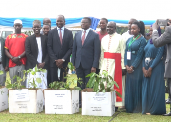 Owek. Mayiga alabudde, Obutondebwensi bwebufa n’ebyenfuna bifa