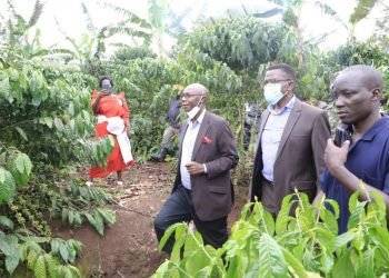 Kampuni ya Emmwaanyi Terimba akatale ekayingiridde mu maanyi