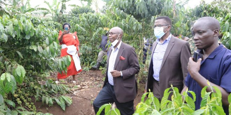 Kampuni ya Emmwaanyi Terimba akatale ekayingiridde mu maanyi