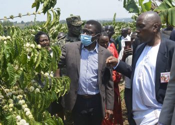Katikkiro Mayiga asabye gavumenti ewagire bannansi abongera omutindo ku Mmwaanyi nga tenanoonya baggwira