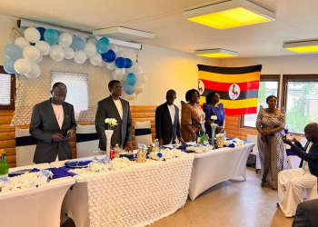Kamalabyonna Mayiga akuutidde ab’e Sweden okubaako byebazza ku butaka