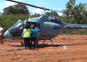 Ennyonnyi ecamudde abagenze mu mwoleso gwa Buganda Gaggadde