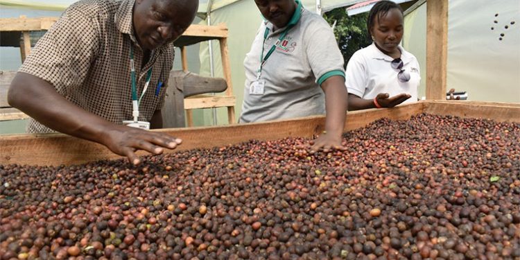  Uganda yeyongedde okufuna ssente mu Mmwaanyi ezitundibwa ebweru