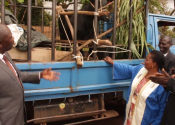 Omuk.  Luutu asabye abavubuka okwewala ebikolwa by’okutabangula eggwanga