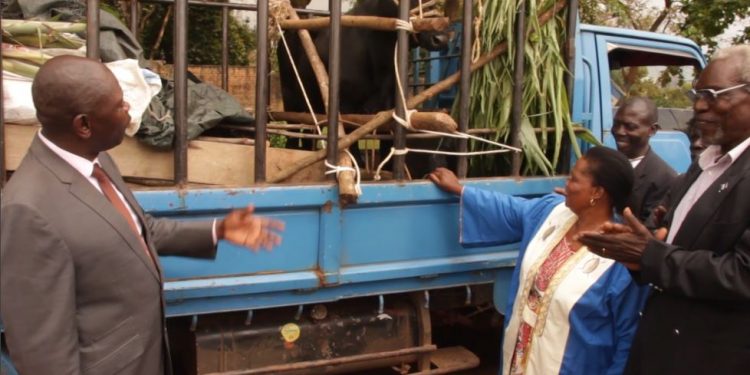 Omuk. Luutu asabye abavubuka okwewala ebikolwa by’okutabangula eggwanga