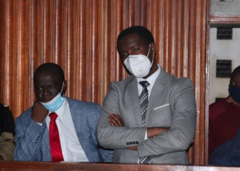 Ababaka Ssewanyana, Ssegirinya tebalabiseeko mu kkooti kweyimirirwa