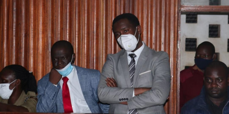 Ababaka Ssewanyana, Ssegirinya tebalabiseeko mu kkooti kweyimirirwa