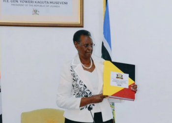 UNEB  efulumizzza ebyavudde mu PLE  wa 2022, Abayizi bakoze bulungi