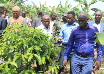 Katikkiro Mayiga atongozza ekitundu A ekya Mmwanyi Terimba eky’omwaka 2023