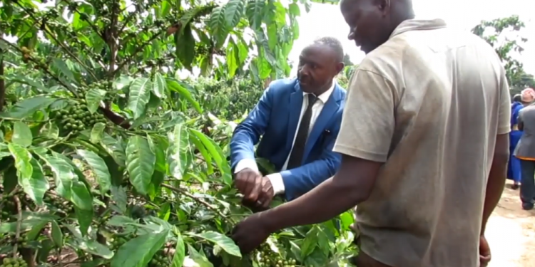 Kasujju asabye abazadde okwegendereza Sikaala, mulimu ezirumira