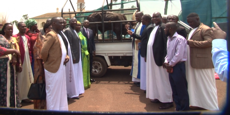 Gavumenti esabiddwa okulwanyisa ebikolwa by’omukwano ogw’ebikukujju mu masomero