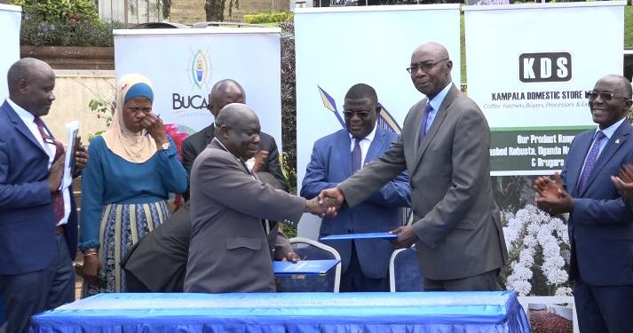 Buganda esse omukago naba Kampala Domestic Stores, okubangula abavubuka ku mirimu egiva mu Mmwaanyi