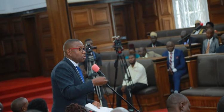 Olukiiko lusembye ebiteeso ebiwerako, lwagala Abataka basooke kwebuuza ku Beene ku nsonga z’okwekulaakulanya