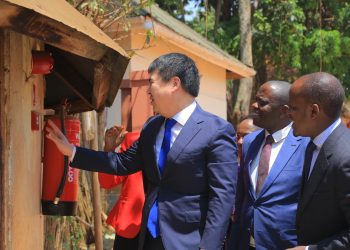 Gavumenti  ya Japan atenderezza omulimu ogukoleddwa ku Masiro, essaawa yonna gakwasibwa Omutanda