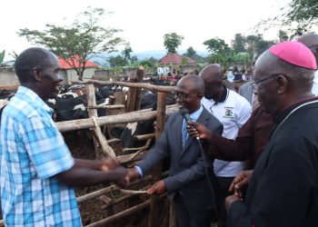 Omusumba  Anthony Zziwa  awaddeyo ente 120 eri abatuuze beekulaakulanye,  Katikkiro amwebazizza olw’okutumbula embeera z’abantu