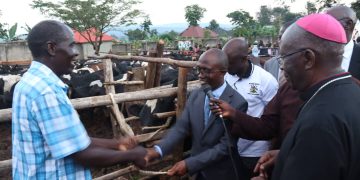 Omusumba  Anthony Zziwa  awaddeyo ente 120 eri abatuuze beekulaakulanye,  Katikkiro amwebazizza olw’okutumbula embeera z’abantu