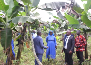 Minisita Kawuki asabye abavubuka okwenyigira mu kulima beekulaakulanye