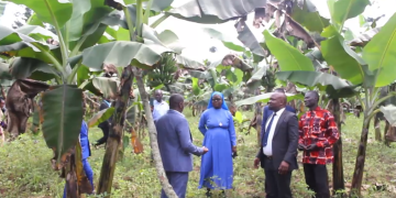 Minisita Kawuki asabye abavubuka okwenyigira mu kulima beekulaakulanye