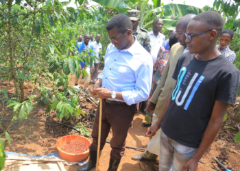 Beene asiimye abalima emmwanyi, agamba amaanyi ga Buganda gali mukwerwanako