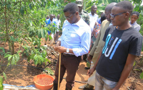 Beene asiimye abalima emmwanyi, agamba amaanyi ga Buganda gali mukwerwanako