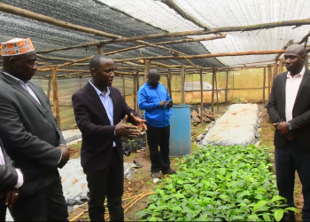 Owek. Sserwanga akuutidde abavubuka okwekwata obulimi