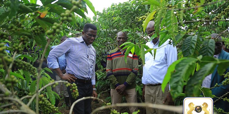 Katikkiro Mayiga alambudde abalimi b’Emmwaanyi mu Butambala, akuutidde abantu obutadduka mu byalo
