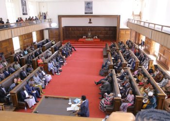 Olukiiko lwa Buganda lusembye eky’okusoosowaza Obulamu bwa Beene